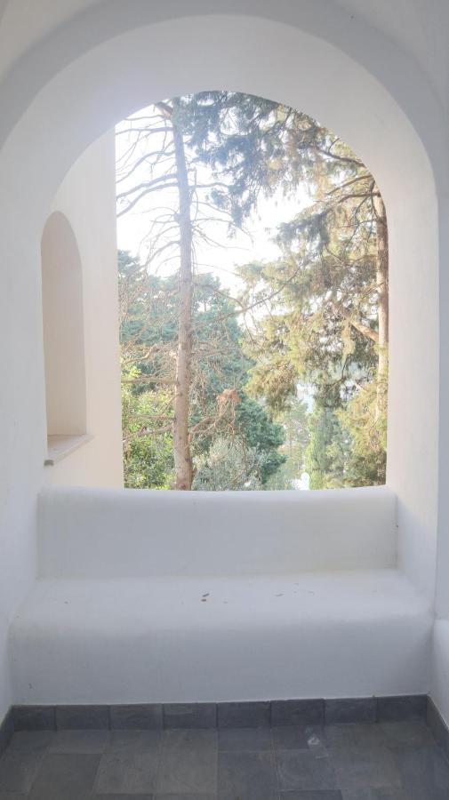Villa Enrica Capri Exteriör bild